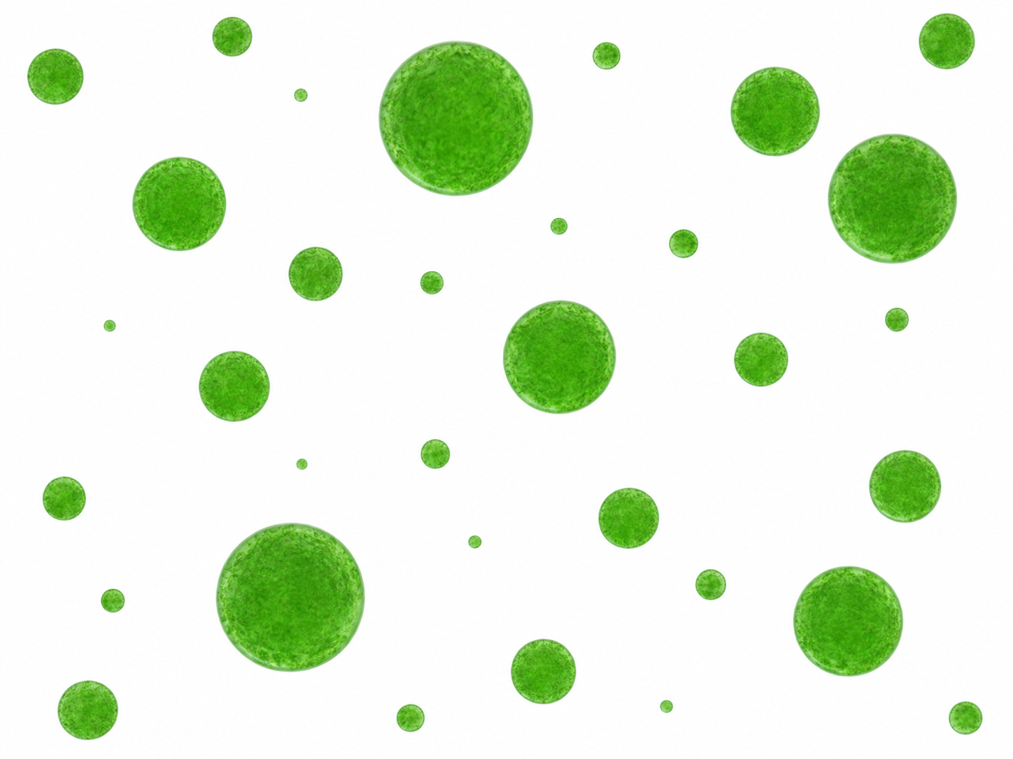 The True Cost of Ignoring Mold in Michigan Homes (2026 Breakdown)