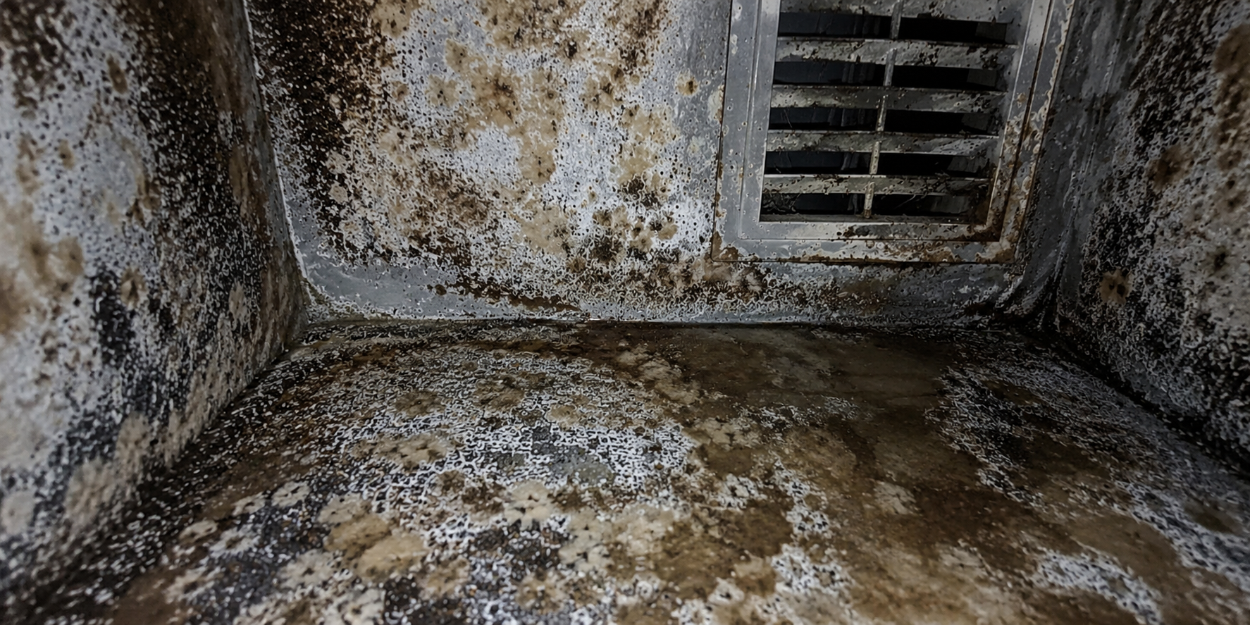 HVAC Mold Testing in Michigan: Causes, Inspection & Safe Removal