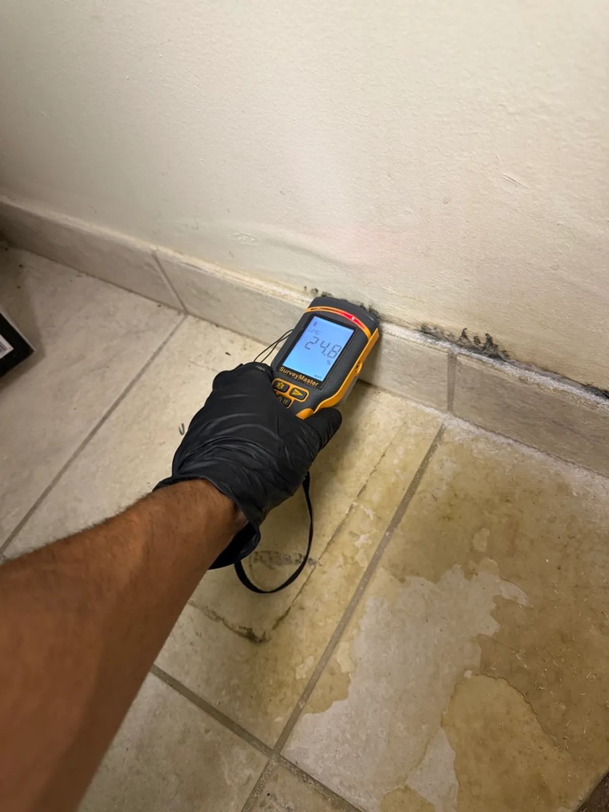 Do Moisture Meters Detect Mold?