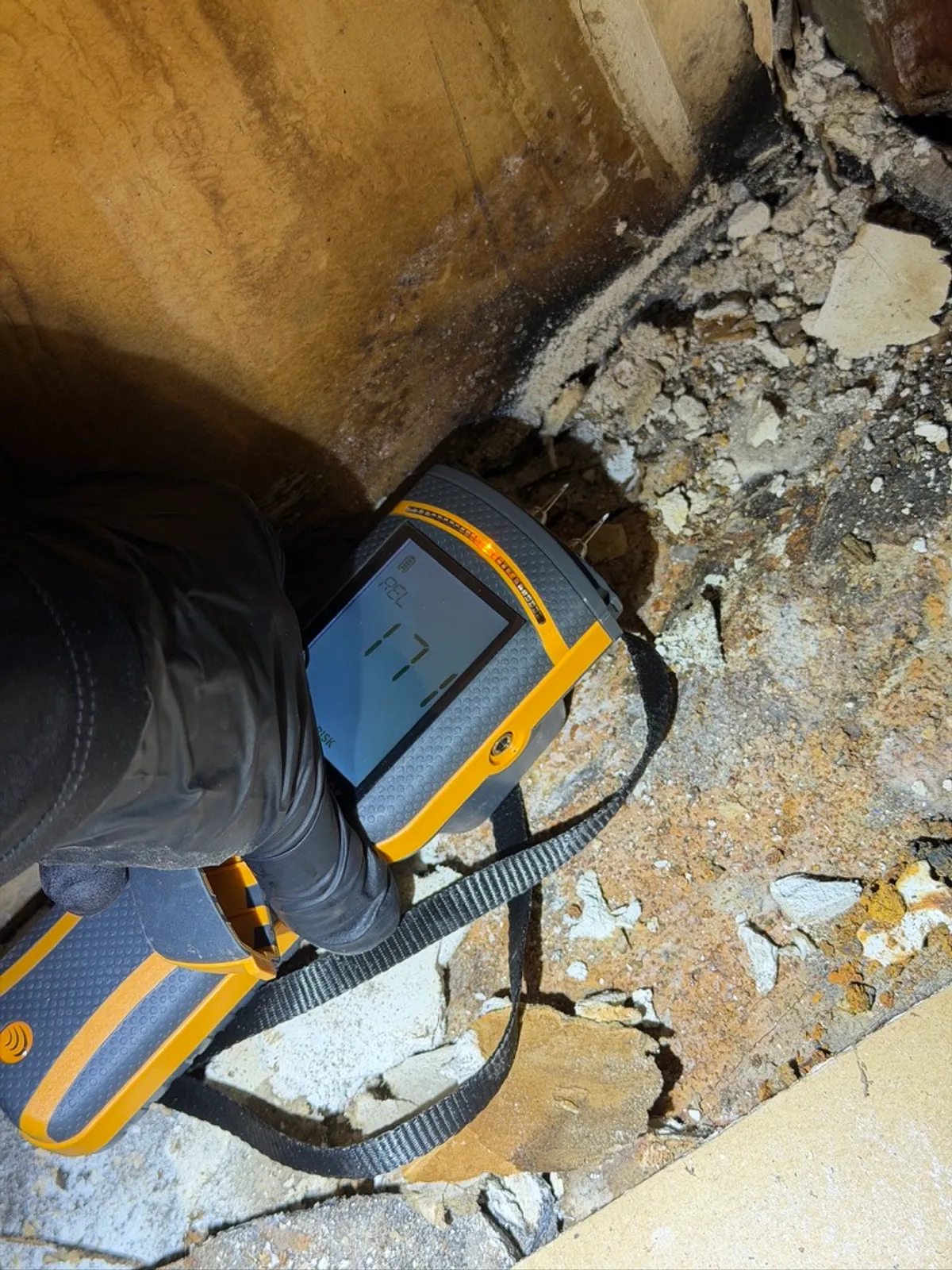 Moisture meter confirming a reading on wood framing in a Michigan basement