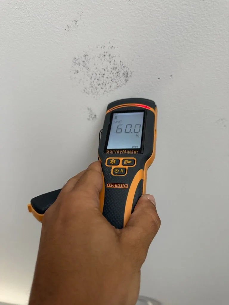 Pinless moisture meter scanning below a wall surface without leaving a mark