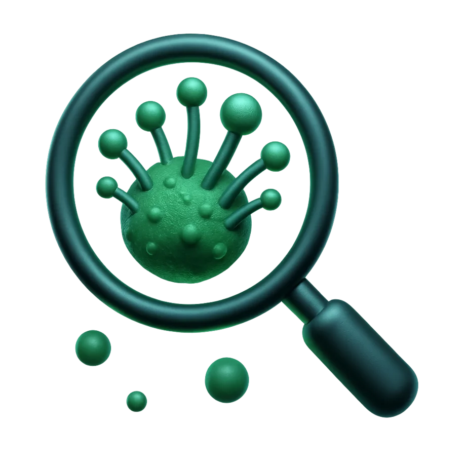 Mold Testing