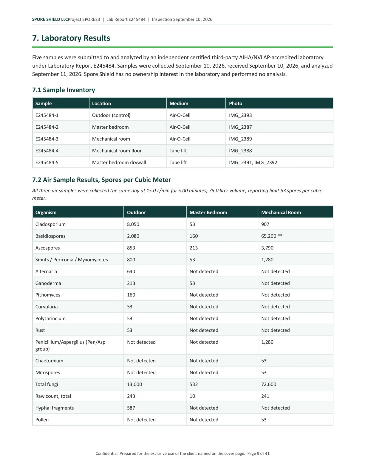 Sample inspection report, page 10 of 61