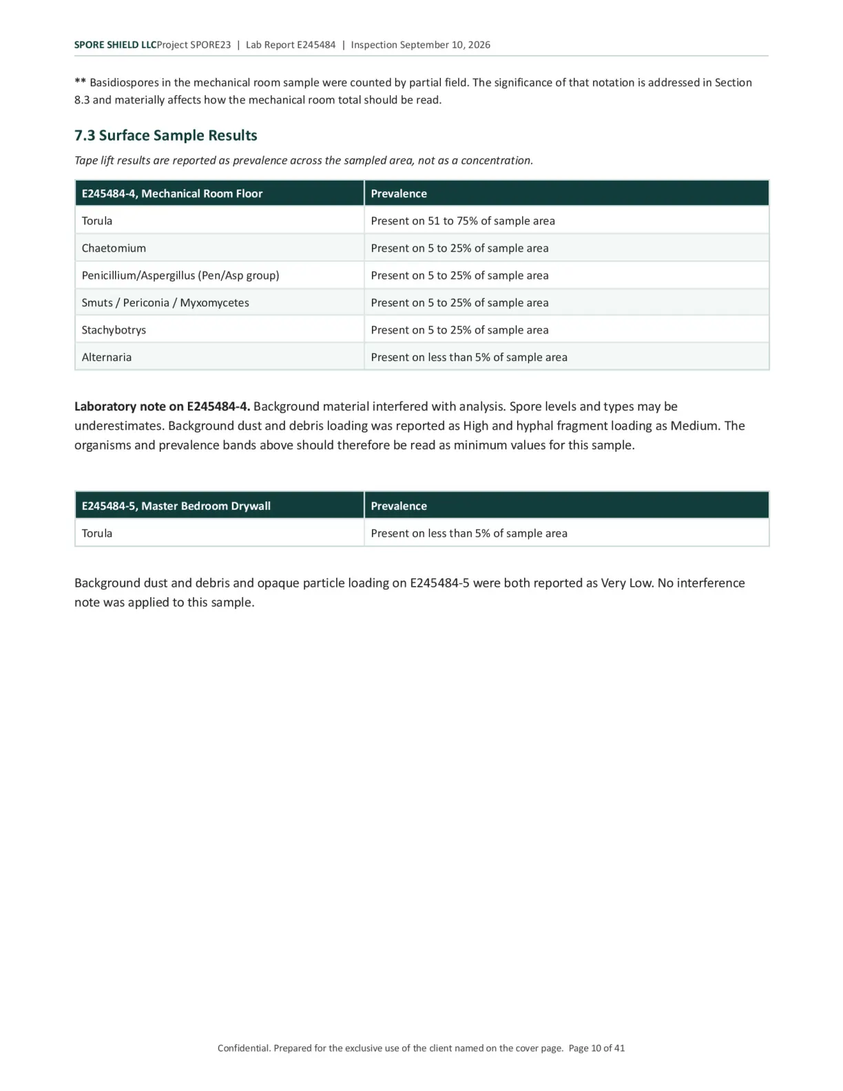 Sample inspection report, page 11 of 61