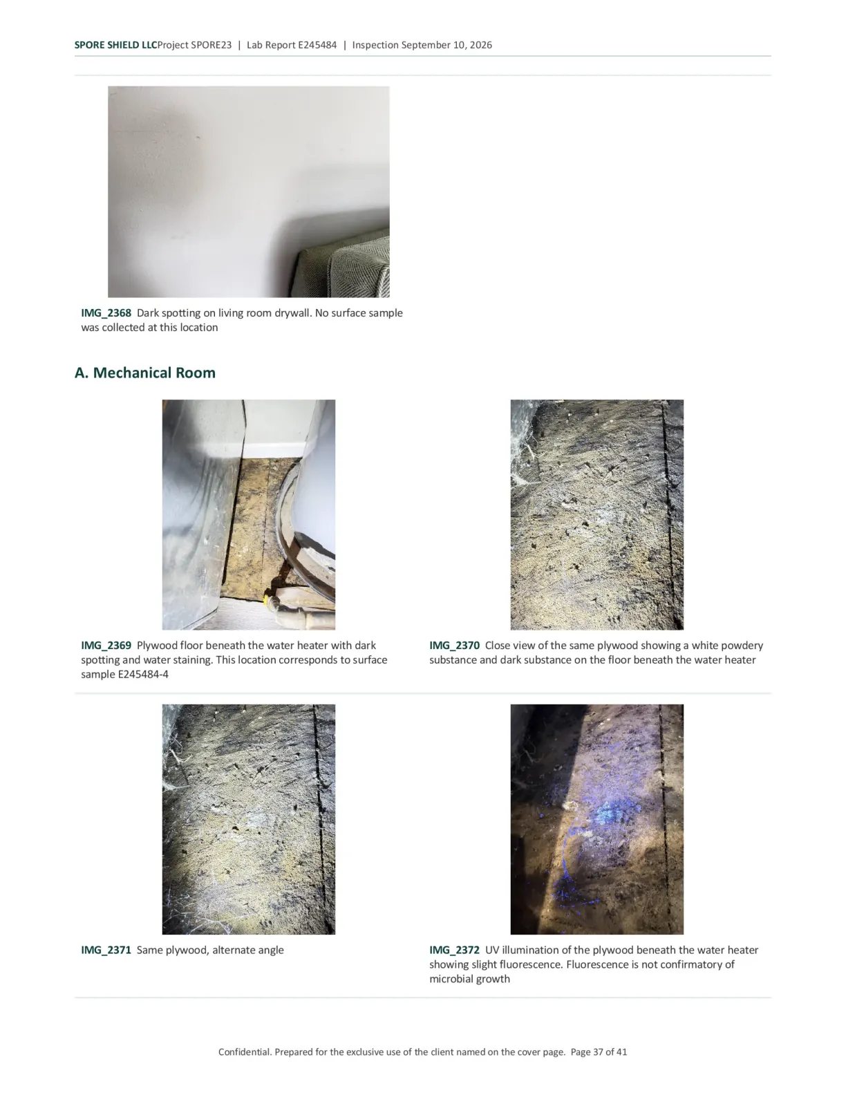 Sample inspection report, page 38 of 61