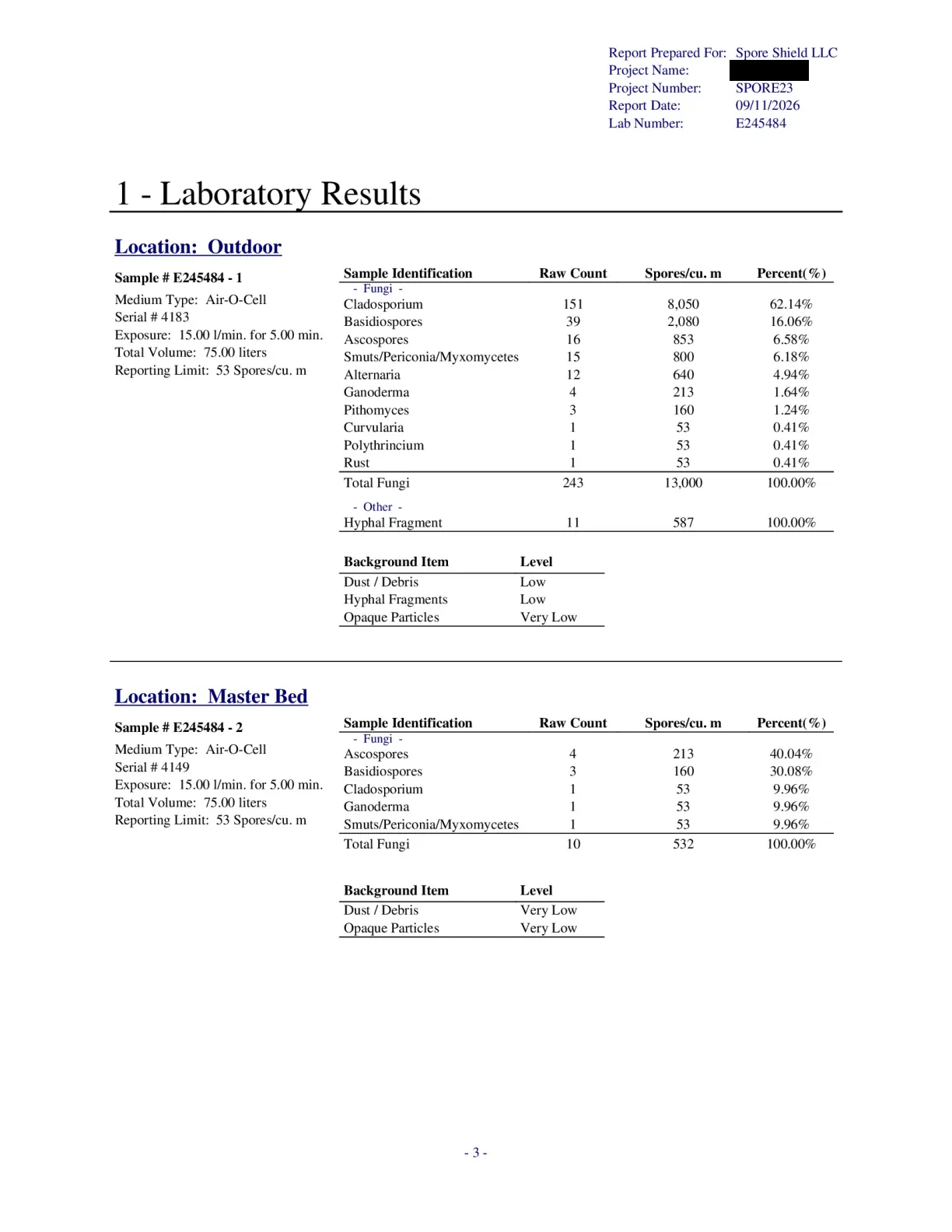 Sample inspection report, page 45 of 61
