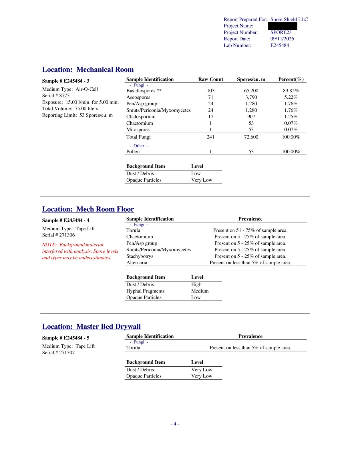 Sample inspection report, page 46 of 61