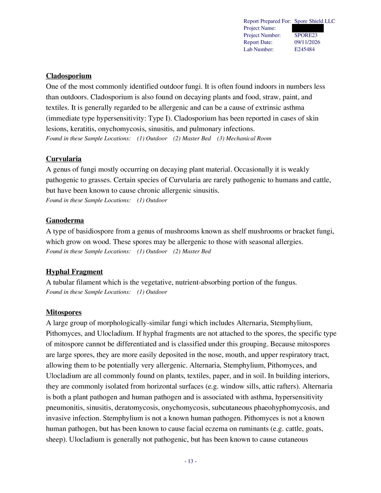 Sample inspection report, page 55 of 61