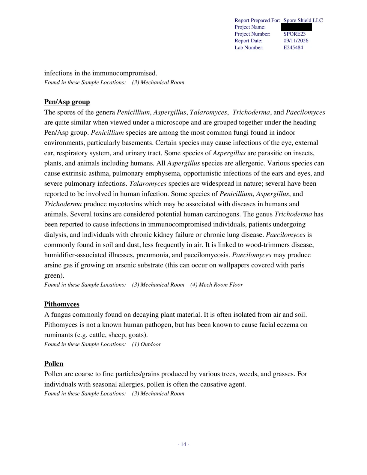 Sample inspection report, page 56 of 61