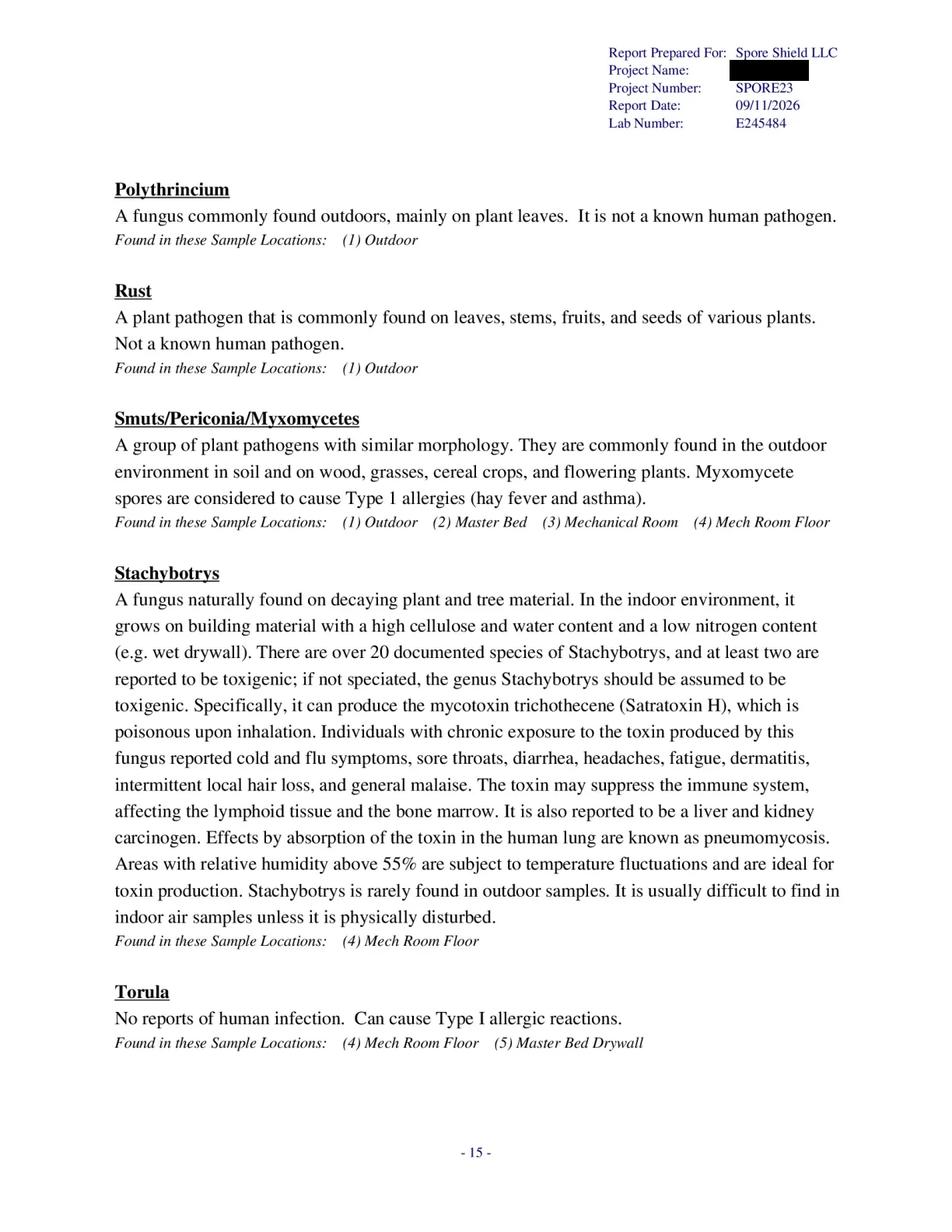 Sample inspection report, page 57 of 61
